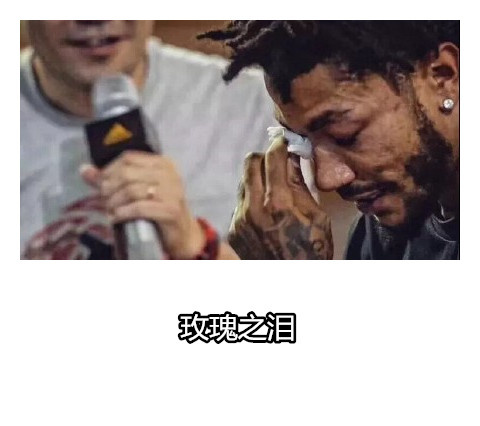 金沙集團app最新版下載通用版